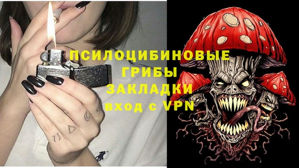 гашик Алзамай