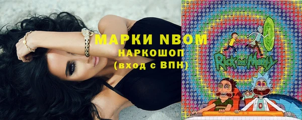гашик Алзамай