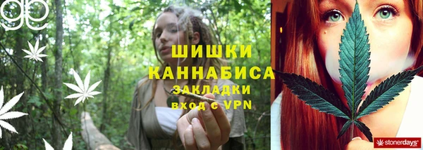 гашик Алзамай