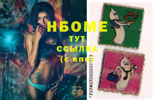гашик Алзамай