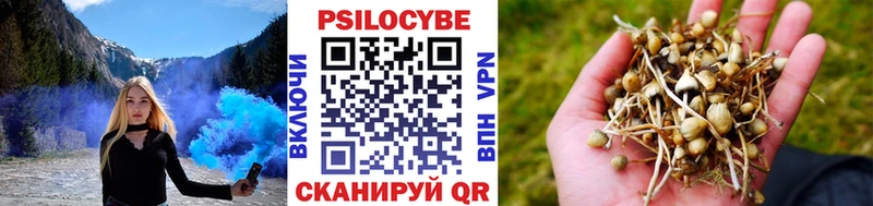сколько стоит  Сураж  Псилоцибиновые грибы MAGIC MUSHROOMS 